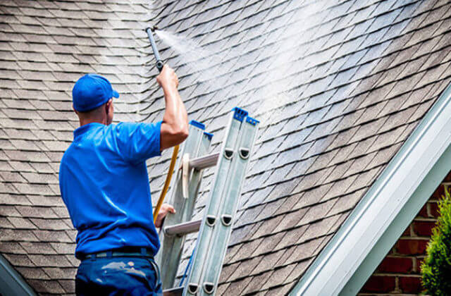 seattle roof cleaning